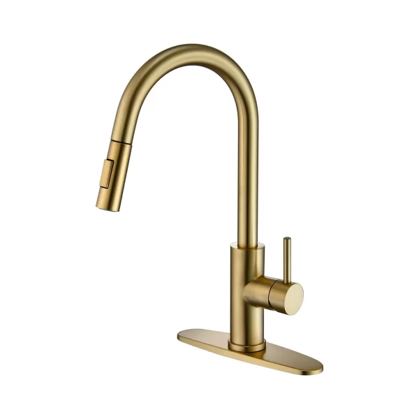 Brushed Gold Kitchen Faucet